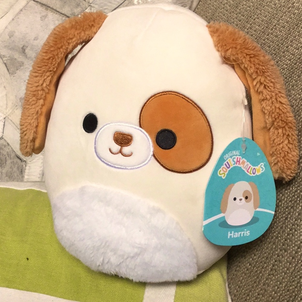 Squishmallows HARRIS puppy toy stuffed animal display travel gift basket b day